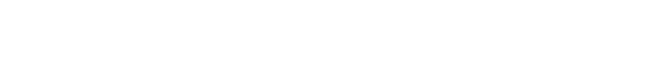 SACS MARINE